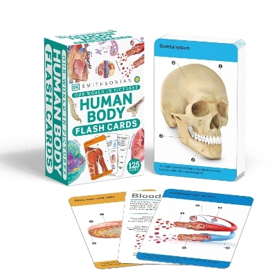 Our World in Pictures Human Body Flash Cards -  Dk