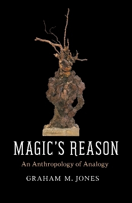Magic's Reason - Graham M. Jones