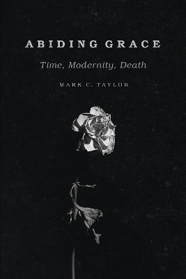 Abiding Grace - Mark C. Taylor