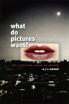 What Do Pictures Want? - W. J. T. Mitchell