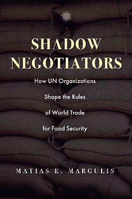 Shadow Negotiators - Matias E. Margulis