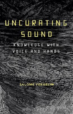 Uncurating Sound - Dr Salom&eacute; Voegelin