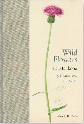 Wild Flowers - 