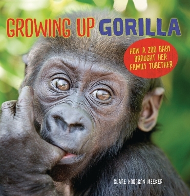 Growing Up Gorilla - Clare Hodgson Meeker