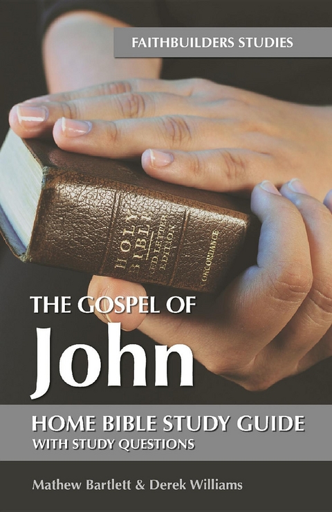 The Gospel of John - Mathew Bartlett, Derek Williams