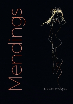 Mendings - Megan Sweeney