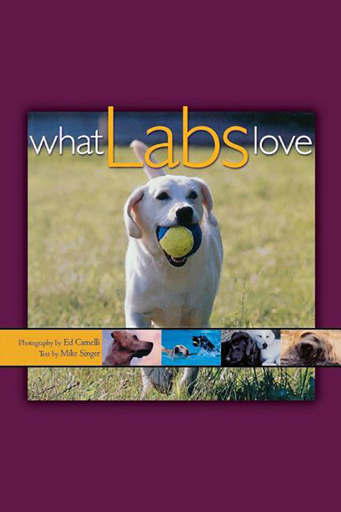 What Labs Love -  Ed Camelli