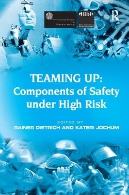 Teaming Up: Components of Safety Under High Risk