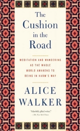 Cushion in the Road -  Alice Walker
