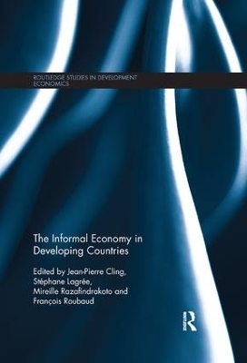 The Informal Economy in Developing Countries - 