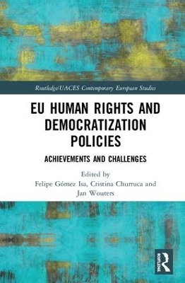 EU Human Rights and Democratization Policies - 