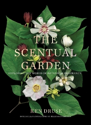 The Scentual Garden: Exploring the World of Botanical Fragrance - Ken Druse