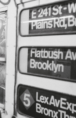 The Train NYC - Brian Young