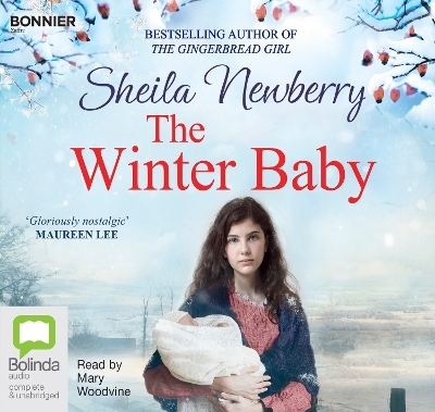 The Winter Baby - Sheila Newberry