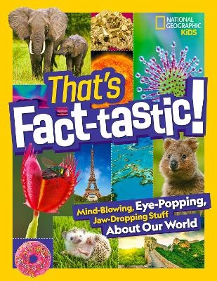 That&rsquo;s Fact-Tastic! -  National Geographic Kids