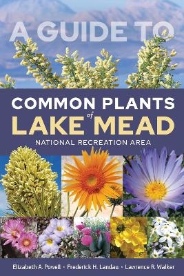 A Guide to Common Plants of Lake Mead National Recreation Area