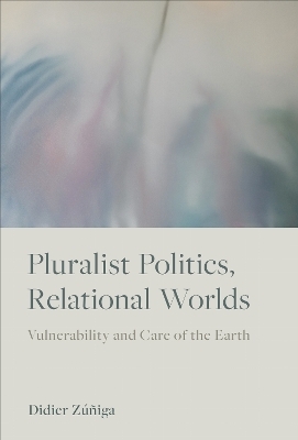 Pluralist Politics, Relational Worlds - Didier Z&uacute;&ntilde;iga