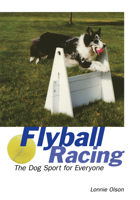 Flyball Racing - Lonnie Olson