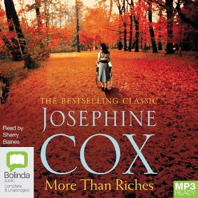 More Than Riches - Josephine Cox