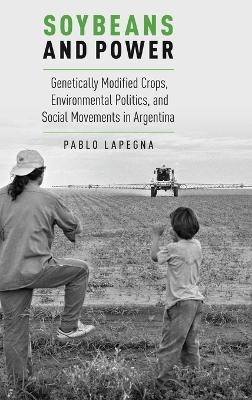 Soybeans and Power - Pablo Lapegna