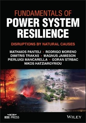 Fundamentals of Power System Resilience