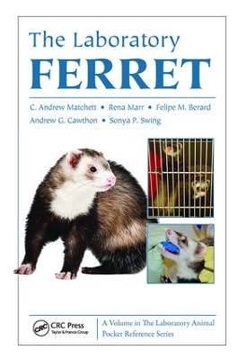 The Laboratory Ferret - C. Andrew Matchett, Rena Marr, Felipe M. Berard, Andrew G. Cawthon, Sonya P. Swing