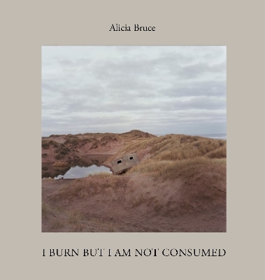 I Burn But Am Not Consumed - Alicia Bruce