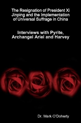 The Resignation of President Xi Jinping and the Implementation of Universal Suffrage in China - Interviews with Pyrite, Archangel Ariel and Harvey