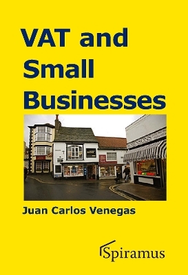 VAT and Small Businesses - Juan Carlos Venegas
