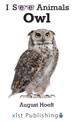 Owl - August Hoeft