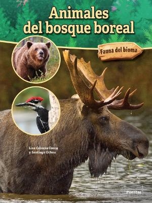 Animales del Bosque Boreal - Lisa Colozza Cocca