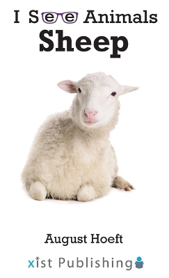 Sheep - August Hoeft
