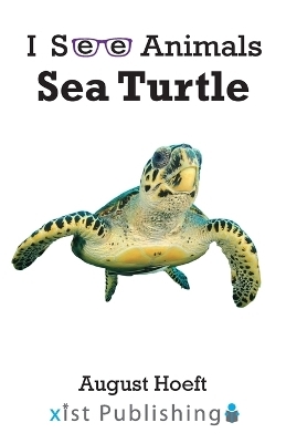 Sea Turtle - August Hoeft