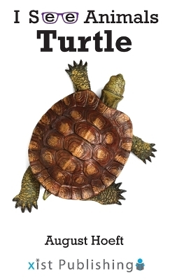 Turtle - August Hoeft