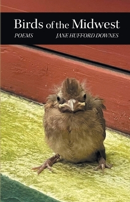 Birds of the Midwest