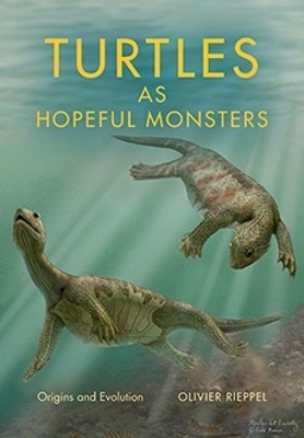 Turtles As Hopeful Monsters