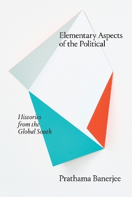 Elementary Aspects of the Political - Prathama Banerjee