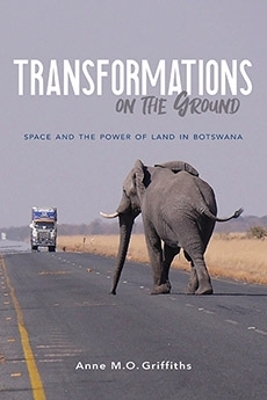 Transformations on the Ground - Anne Griffiths