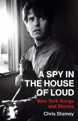 A Spy in the House of Loud - Chris Stamey