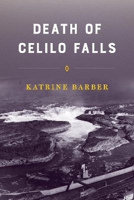 Death of Celilo Falls - Katrine Barber
