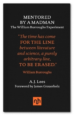Mentored by a Madman - A.J. Lees