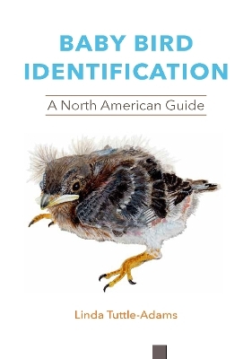 Baby Bird Identification - Linda Tuttle-Adams