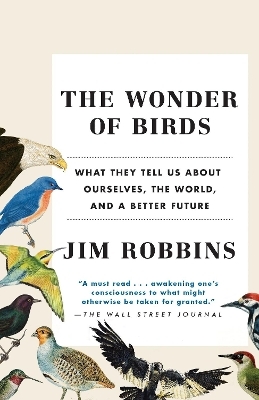 The Wonder of Birds - Jim Robbins