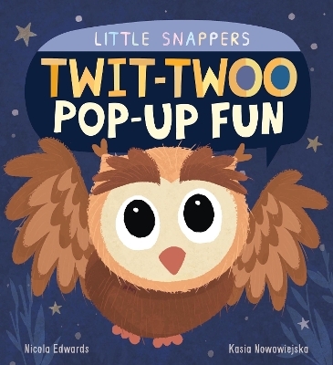 Twit-twoo Pop-up Fun - Nicola Edwards