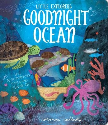 Goodnight Ocean - Becky Davies