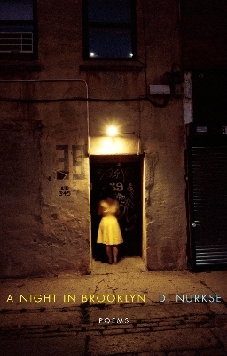A Night in Brooklyn - D. Nurkse