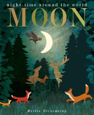 Moon - Patricia Hegarty, Britta Teckentrup