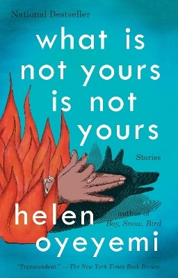 What Is Not Yours Is Not Yours - Helen Oyeyemi