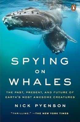 Spying on Whales