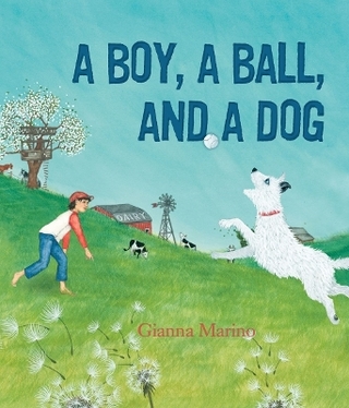 A Boy, a Ball and a Dog